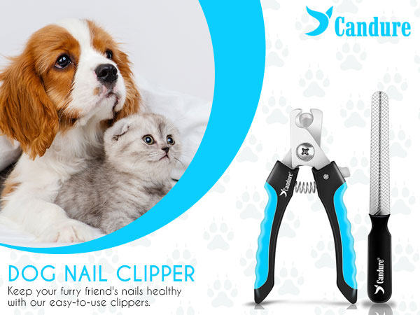 dog nail clippers for large dogs cat nail clippers for indoor cats dog nail clipper