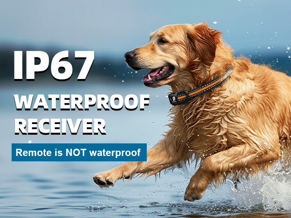 IP67 Waterproof Receiver