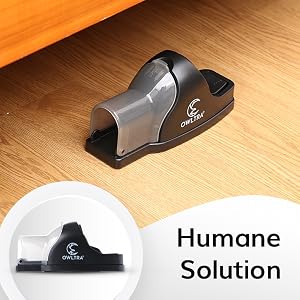 The Humane Solution