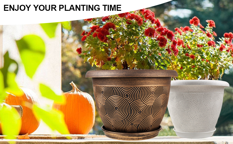 flower pot