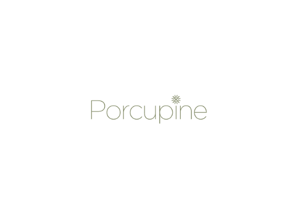 porcupine