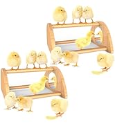 Ensayeer Mini Chick Perch with Mirror, Strong Bamboo Roosting Bar for coop and brooder, Training ...