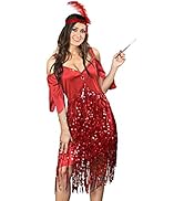 Sunnywood Women’s Plus Size Flapper Dress 1920s Vintage Style Costume with Sequin Fringes