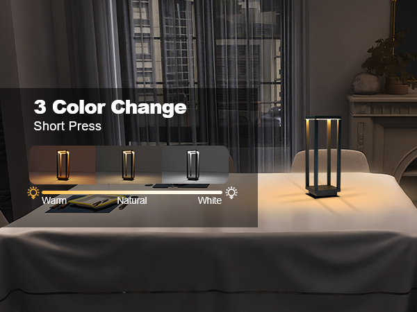 3 Color Wireless LED Table Lamp wiht Warm Natural White Light