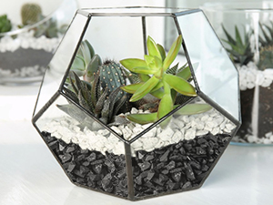 Horticultural Charcoal for Plants