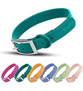 Wisedog Waterproof Dog Collar: Multiple Adjust 7" to 23.6", Soft Rubber Coated Webbing and Easy t...