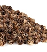 100 Pack Mini Natural Pine Cones for Christmas Tree, 1.18 in Pine Cones for Crafts, Mini Pinecone...