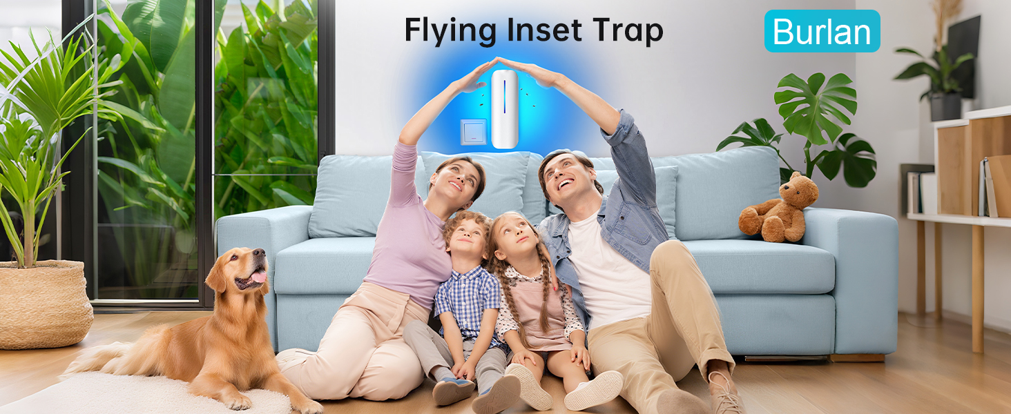 Burlan fly trap indoor