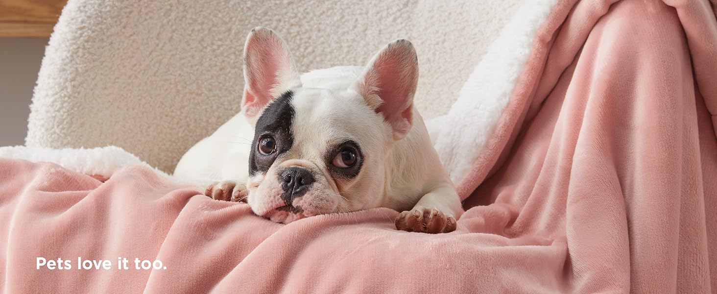 sherpa blanket