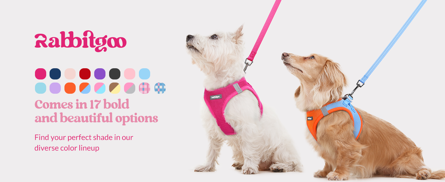 dog harness for small medium dogs