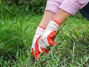 gardening 7