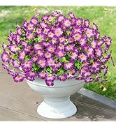 Besteek 20 Bundles Artificial Flowers for Outdoors, Fake Flower UV Resistant Silk Morning Glory P...