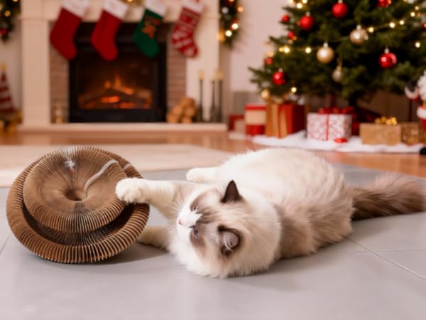 cats toys
