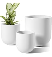LE TAUCI 6+8+10 Inch Ceramic Pots for Plants, Plant Pots Indoor with Drainage Hole and Plug, Plan...