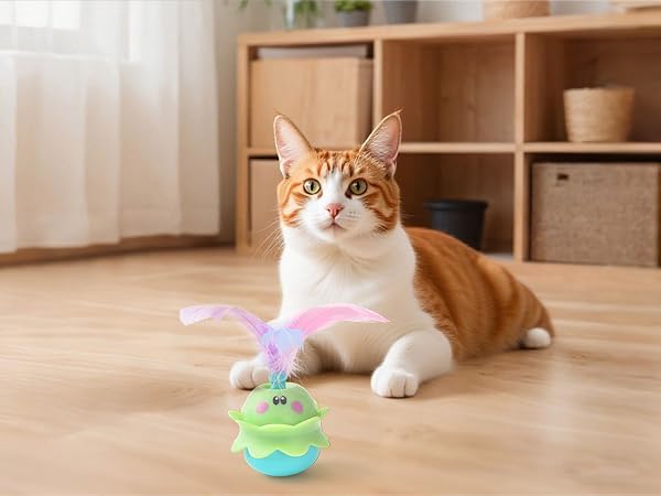 cat toys