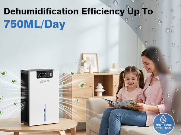 Portable Dehumidifier