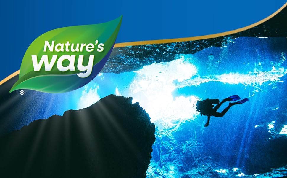 Logo banner with diver