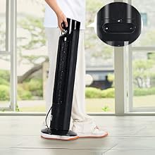 Portable Mobility