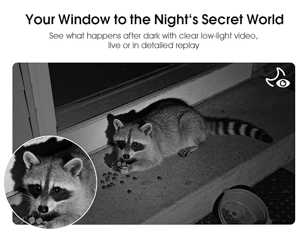 Indoor Security Camera