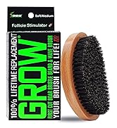 Brush