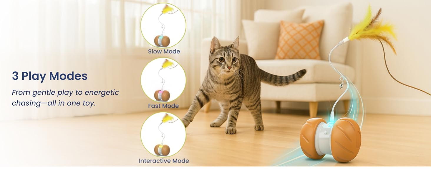 3 play modes cat toy