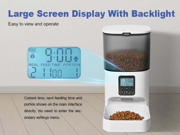 Large Screen Display