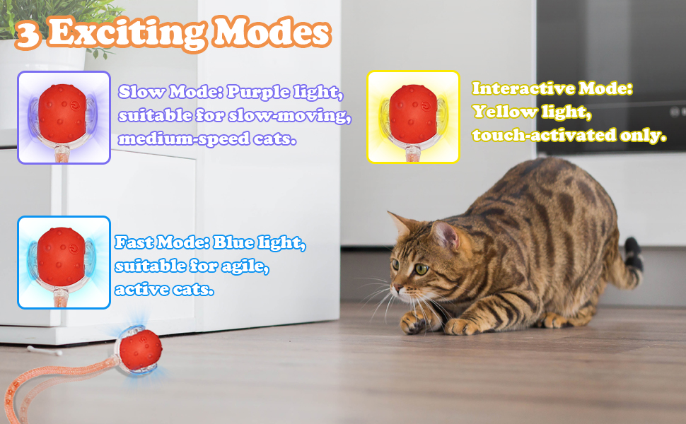 Interactive Cat Toys for Indoor Cats
