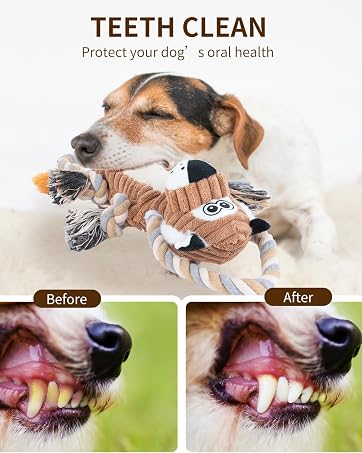 keep health toy for dog