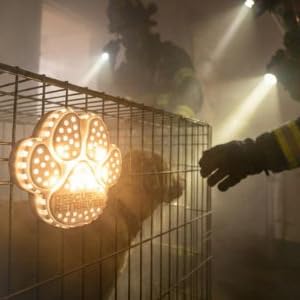 Dog being with Rescue Retriever activated in pet crate