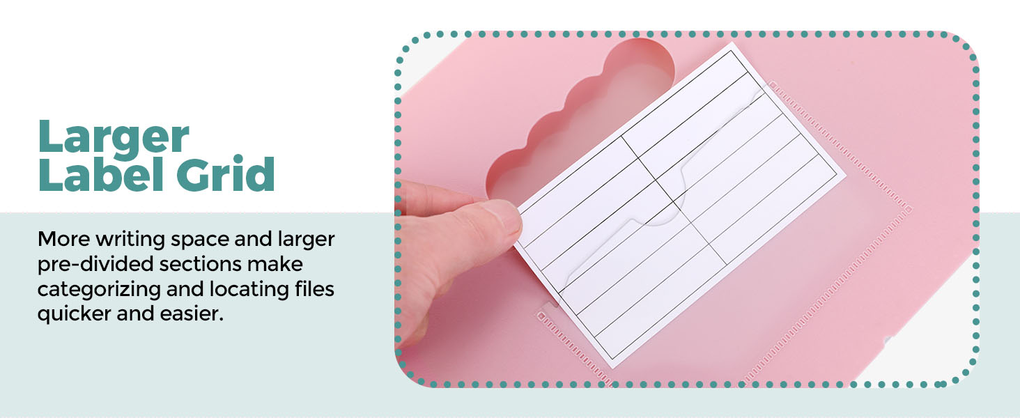 Accordion File Organizer