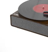 vinyl record player with speaker