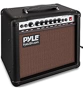 Portable Electric Guitar Amplifier, 30 Watt Power, 8 Inch High-Definition Speaker, Bass, Dual Inp...