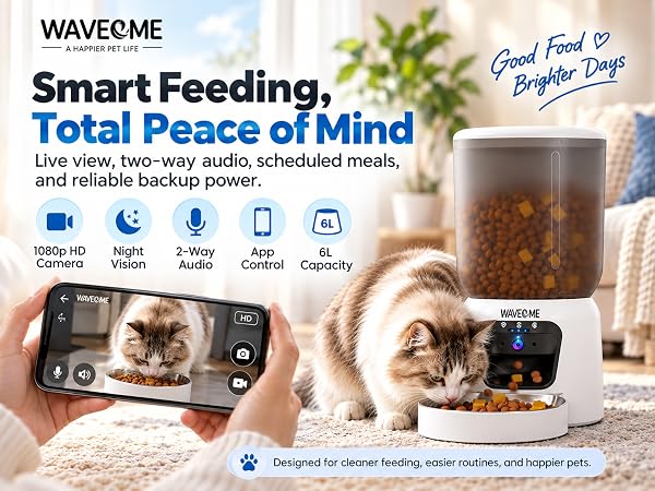 automatic cat feeder