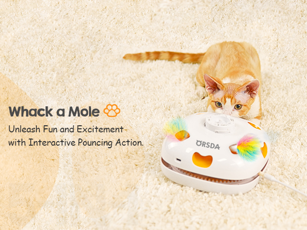automatic cat toy