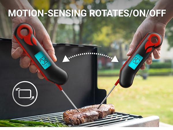 meat thermometers digital