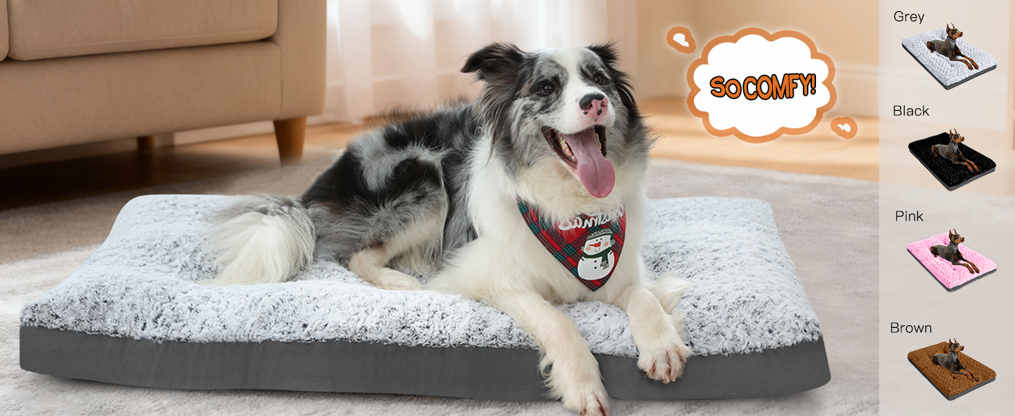 dog bed