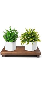 https://m.media-amazon.com/images/S/aplus-media-library-service-media/a5568044-5b23-4623-b3bf-3d2c53a62168.__AC_SR150,300___.jpg