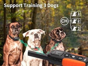 vibrating dog collar no shock small dog, dog collar that beeps and vibrates no shock