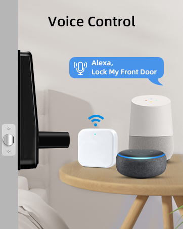 smart door lock with handle