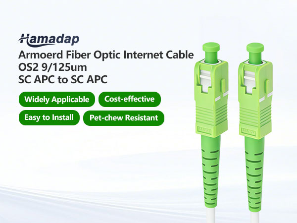 SC APC Fiber Optic Internet Cable Introduction
