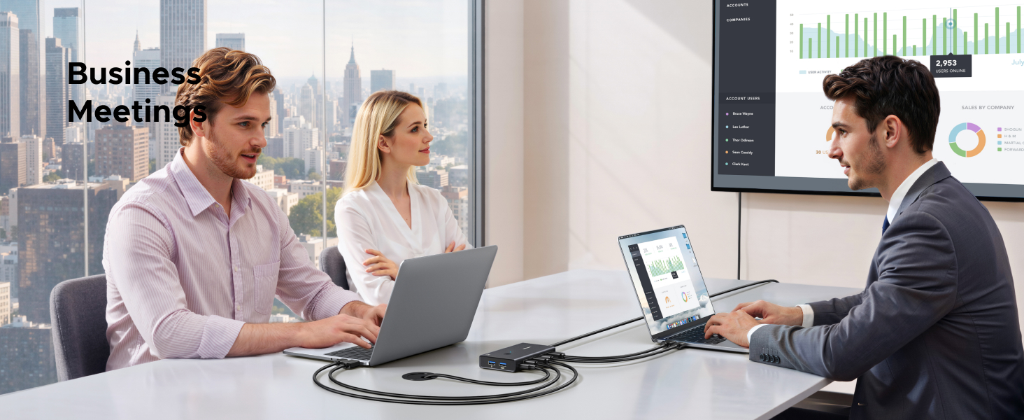 2 computers 1 monitor switch