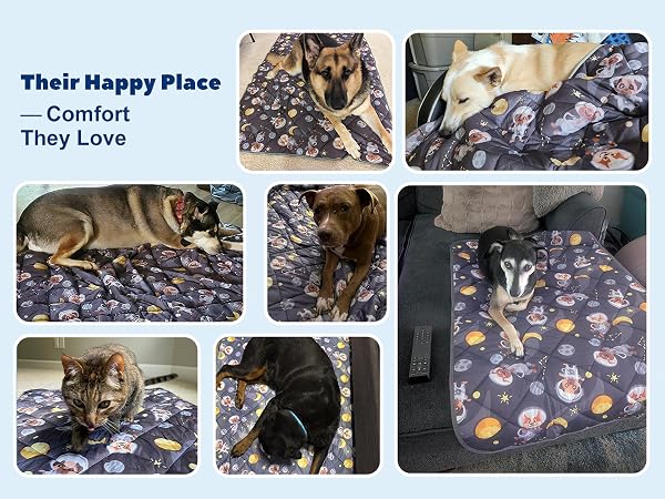 dog cooling pads or mats cool pad for dogs cooling mat dogs ice silk cooling mat for dogs