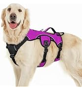 rabbitgoo Escape Proof Dog Harness, Soft Padded Full Body Pet Harness, Reflective Adjustable No P...
