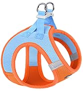 Step-in Small Dog Harness