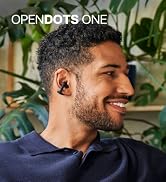 E310