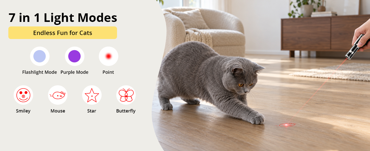 cat toy
