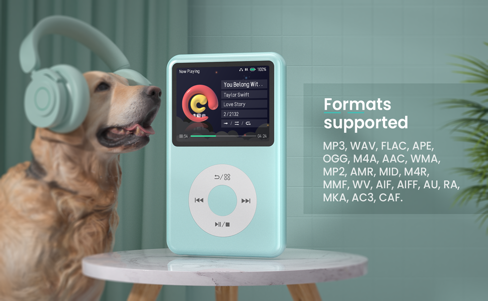 mp3 player hifi music player mp4 playlist management