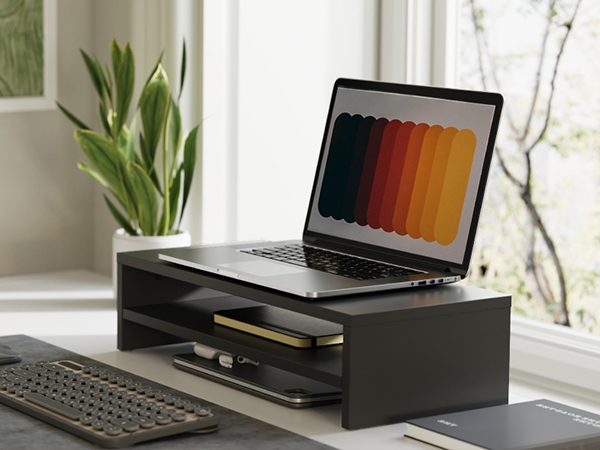 2 Tier Computer Monitor Riser with 21.3 Inch Shelf, Wood Desktop Stand