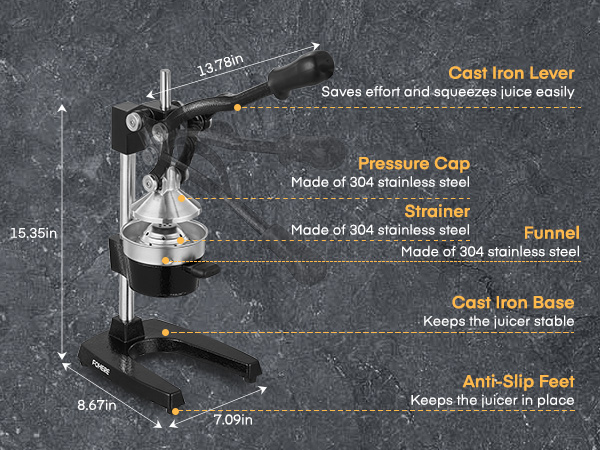 manual juicer