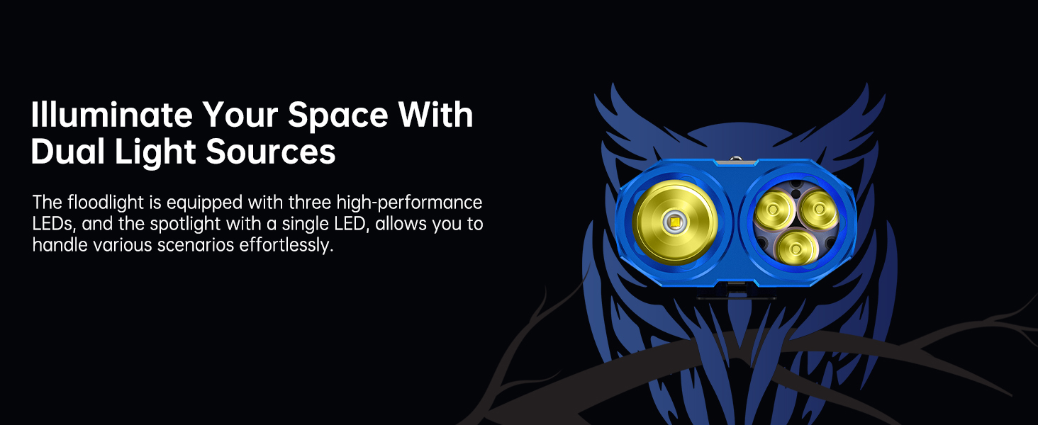 High-performance Flashlight